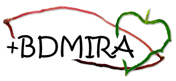 Logo_BDMIRA