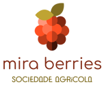 Miraberries