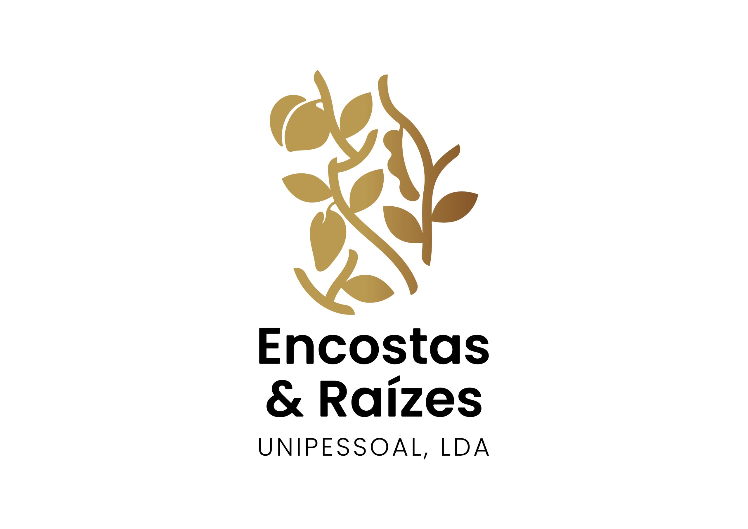 E&R_Logotipo_Secundario_Positivo